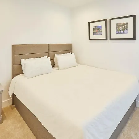 Apartment Host & - One